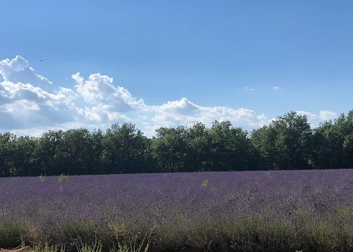 Les Du Verdon, Cote * Sainte-Croix-de-Verdon